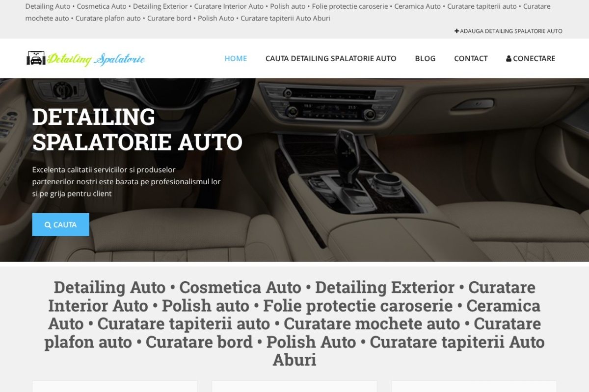 Previzualizare homepage DetailingSpalatorie.ro
